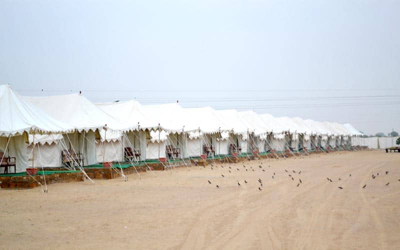 Mehar Adventure Safari Camp, Jaisalmer 5